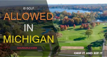 Golfing in Michigan: Is It Allowed?
