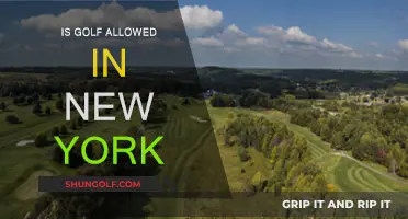 Golf in New York: Is It Allowed?