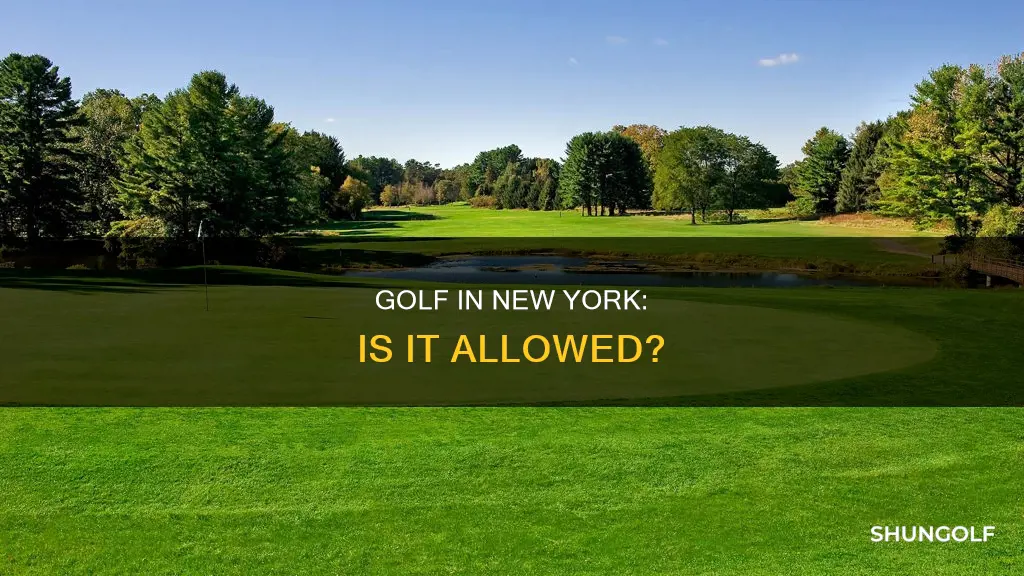 is golf allowed in new york