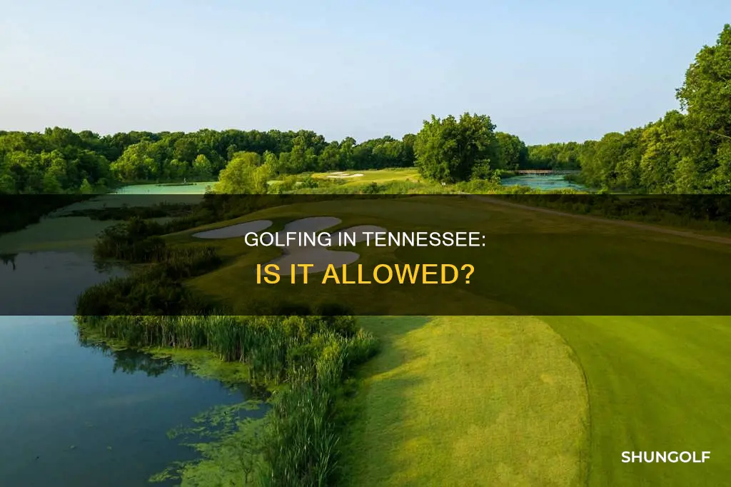is golf allowed in tennessee