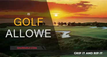Golf Allowed? Where, When, and How to Play