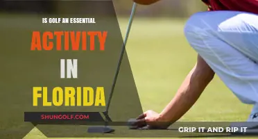 Is Golf Essential in Florida? Exploring Its Cultural and Economic Impact