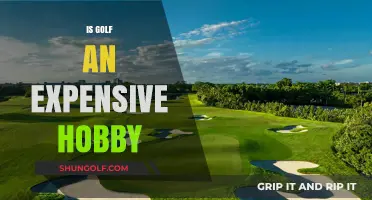 Golf: An Expensive Swing or a Hole-in-One Deal?