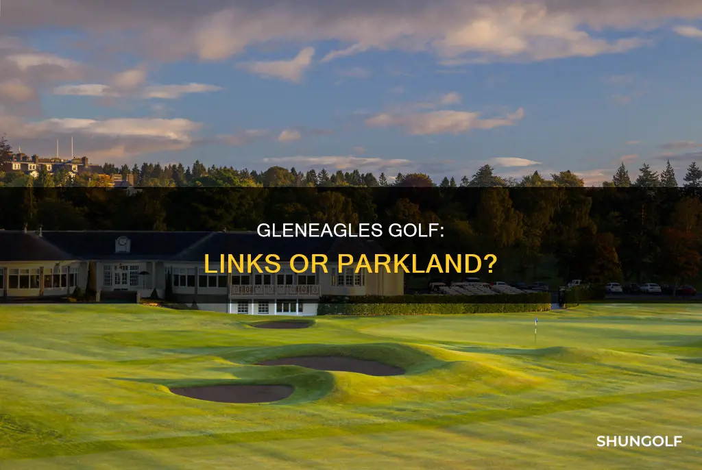 is golf at gleneagles links