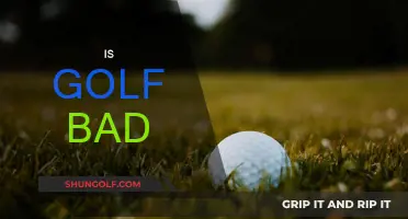 Golf: Is it a Bad Sport?