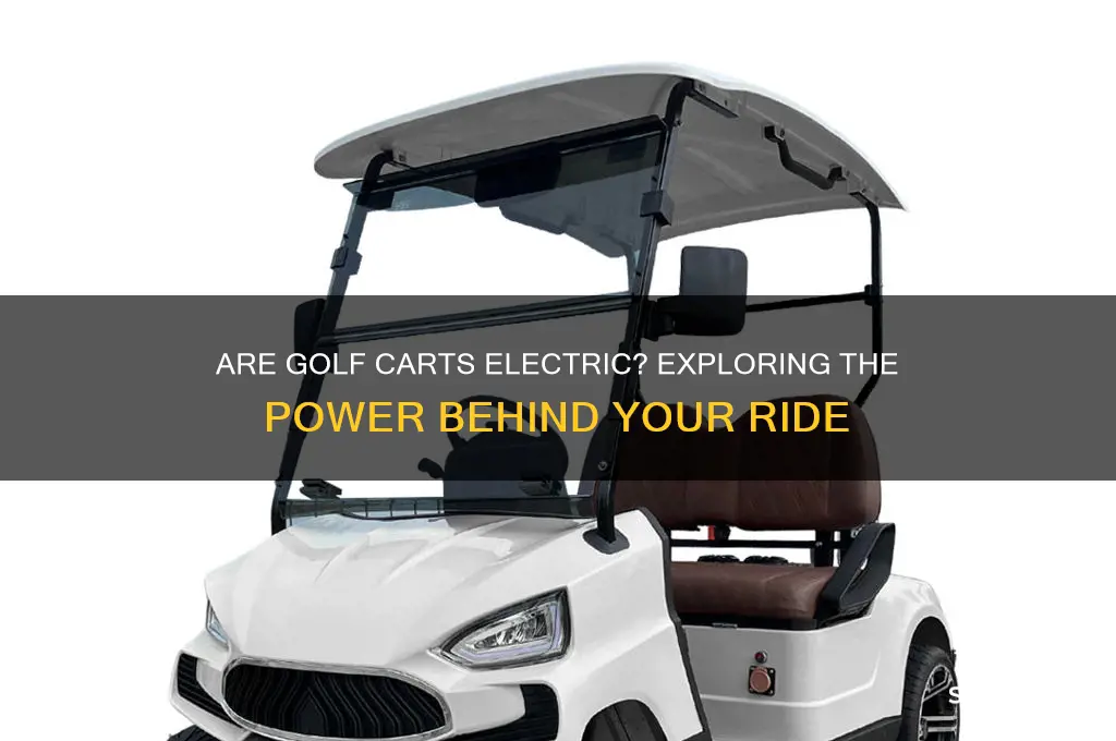 is golf cart electric
