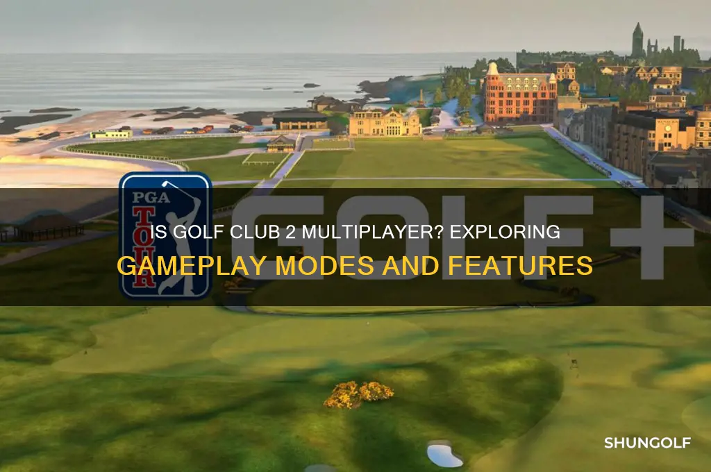is golf club 2 multiplayer