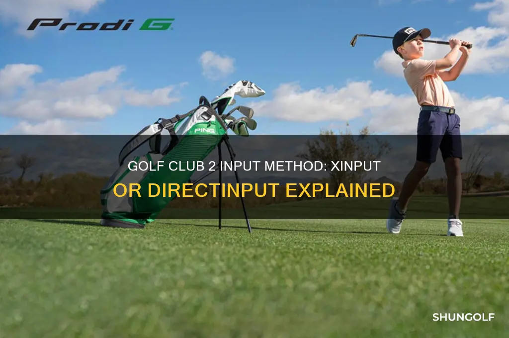is golf club 2 pc xinput or directinput