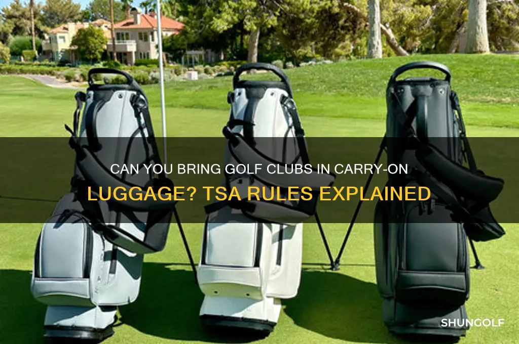 is golf club allowed in carry on baggage