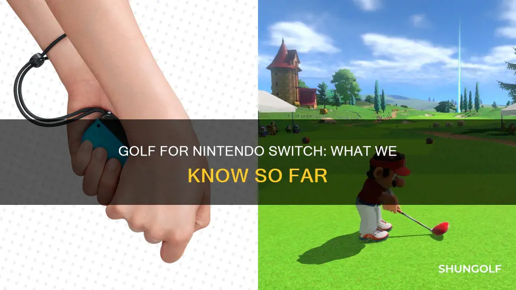 is golf coming to switch sports