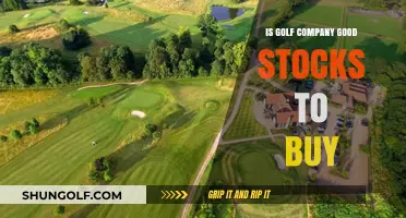 Exploring the Fairway: Is Golf Company a Hole-in-One Stock Pick?