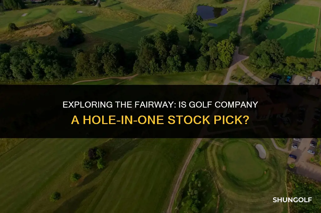 is golf company good stocks to buy