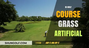 Is Golf Course Grass Artificial? Uncovering the Truth Behind the Greens