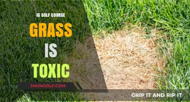 Is Golf Course Grass Toxic? Uncovering the Hidden Dangers