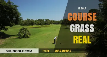Is Golf Course Grass Real? Uncovering the Truth Behind the Greens