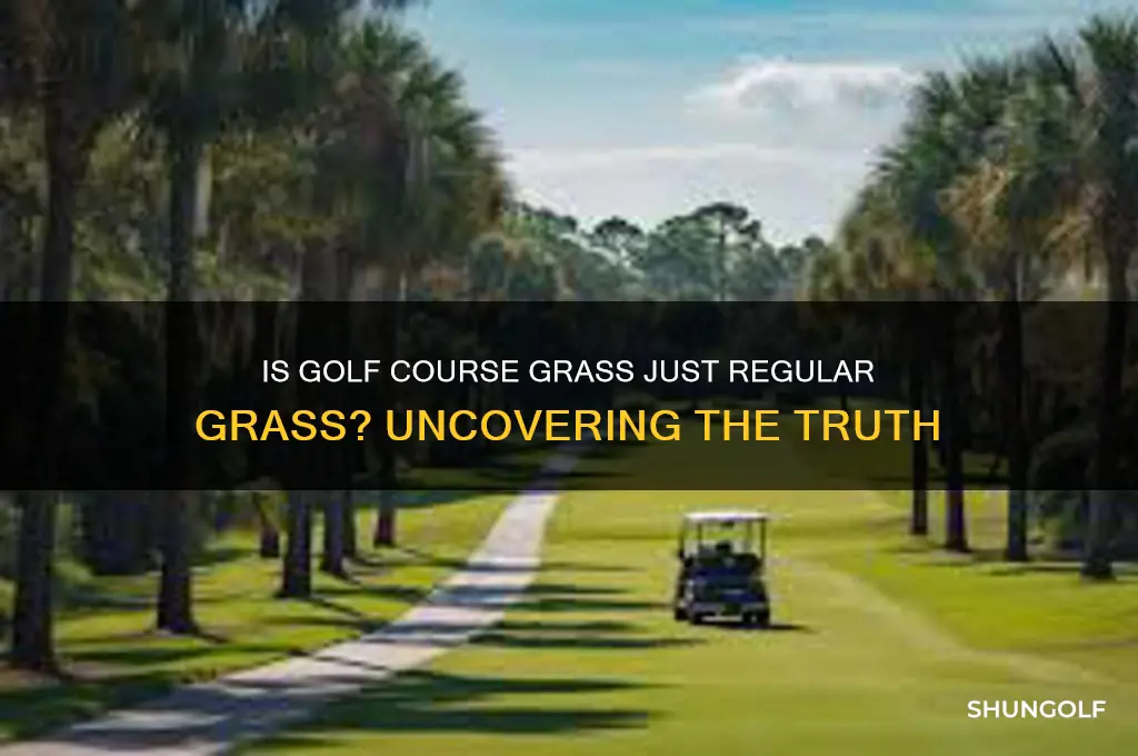 is golf course grass regular grass
