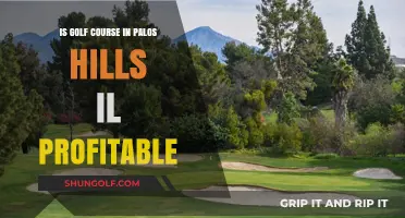 Is Palos Hills IL Golf Course Profitable? A Financial Analysis