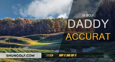 Golf Daddy: Accurate or Not?