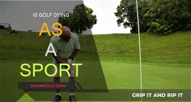 Golf's Future: Is the Sport Dying or Thriving?