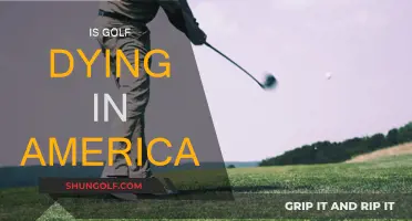 Golf's Future in America: Is It Dying?