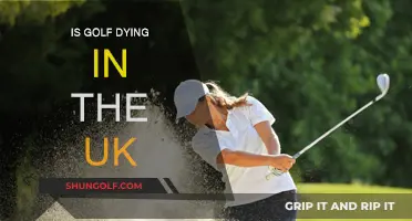 Golf's Future in the UK: Is It Dying?