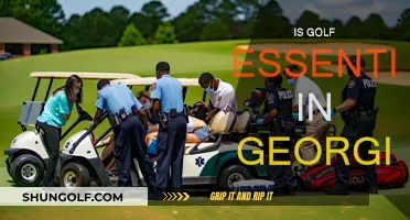 Golf in Georgia: Essential or Not?