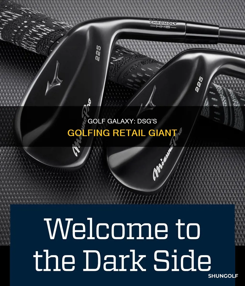 is golf galaxy owned by dsg