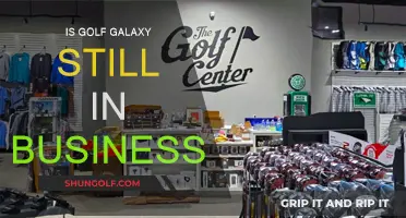 Golf Galaxy: Still Swinging Strong?