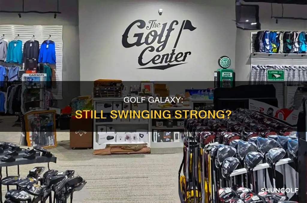 is golf galaxy still in business