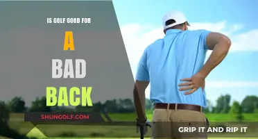Teeing Off on Back Health: Is Golf a Hole-in-One for Bad Backs?