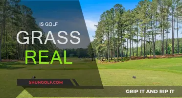 Golf Grass: Real or Artificial?