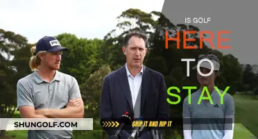 Golf's Future: Is the Sport Here to Stay?