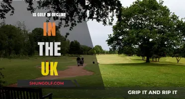 Is Golf Fading? UK Participation Trends and Future Outlook