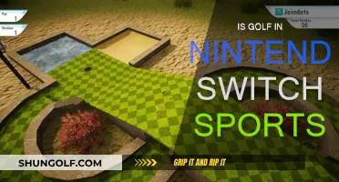 Golf in Nintendo Switch Sports: A Hole-in-One?