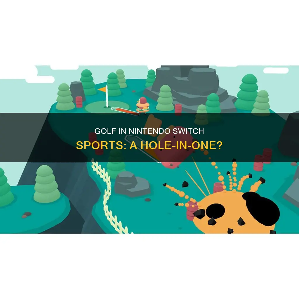 is golf in nintendo switch sports