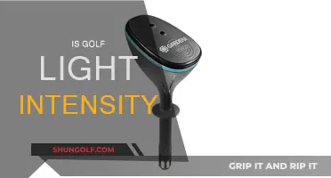 Golf: A Light-Intensity Sport?