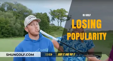 Golf's Popularity: Is It a Hole-in-One or a Miss?