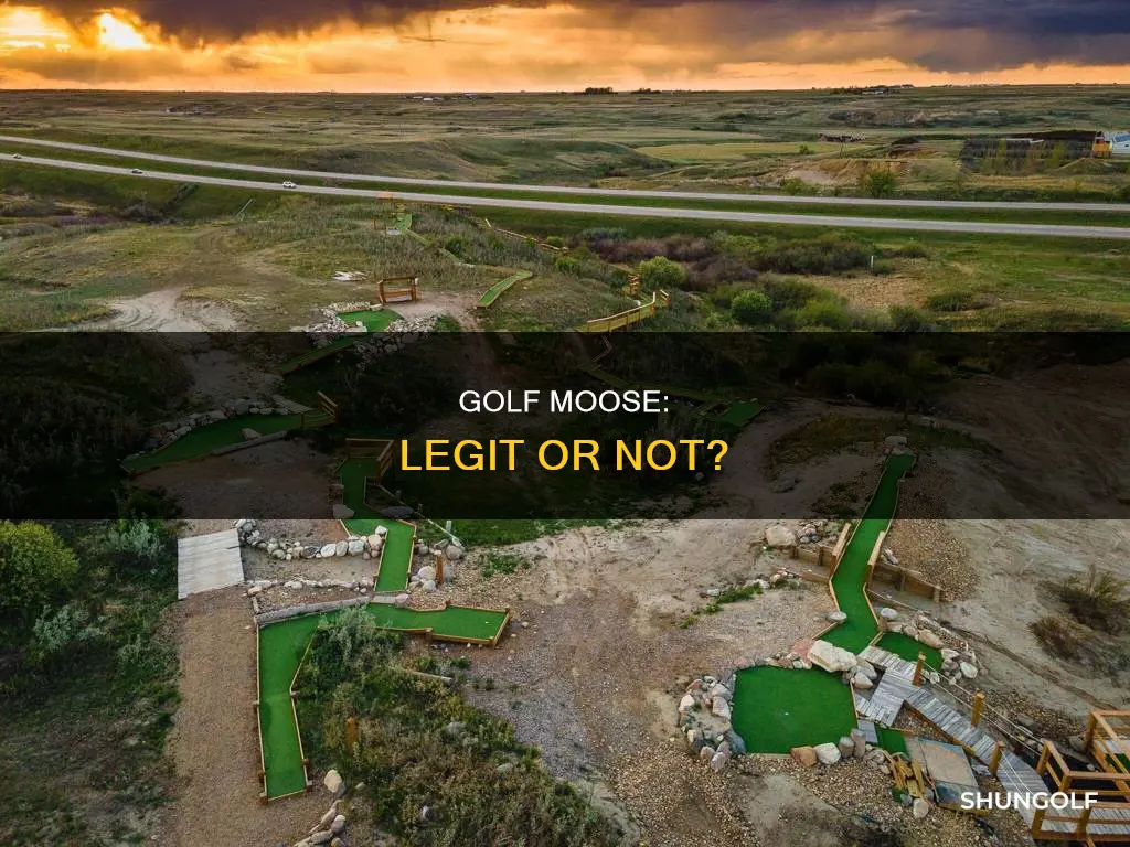 is golf moose legit