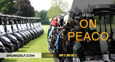 Golf Streaming: Peacock's Hole-in-One