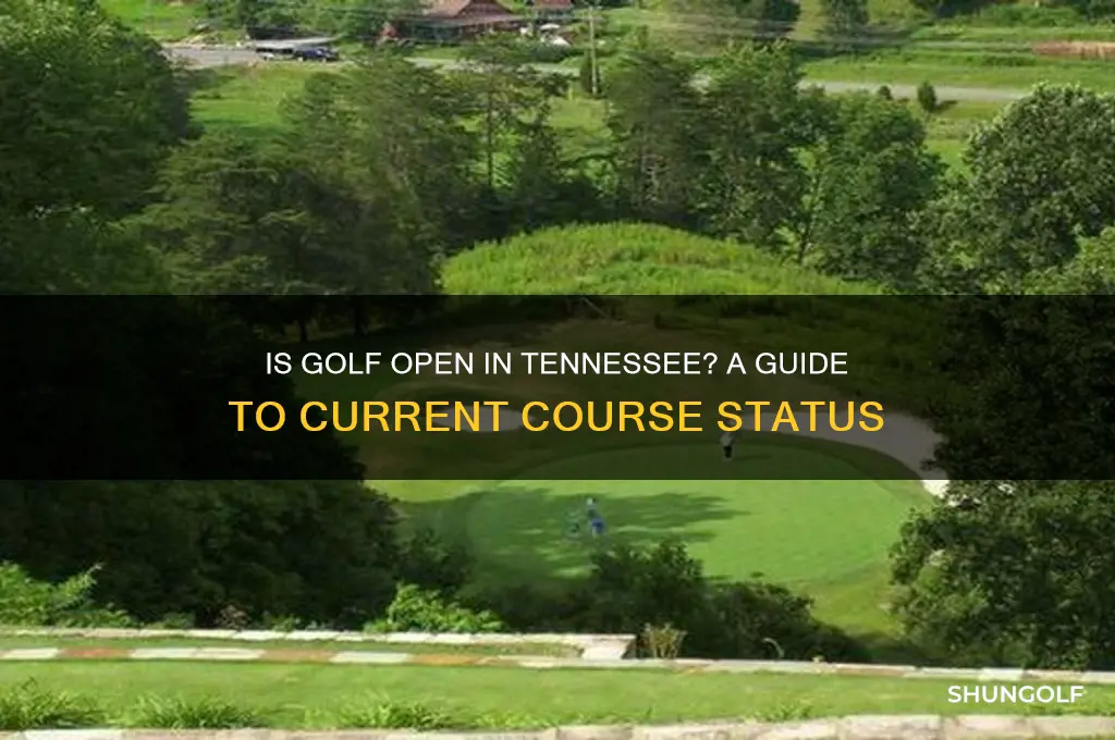 is golf open in tennessee