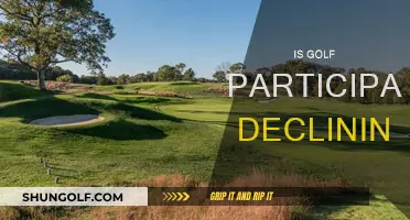 Golf's Future: Is the Sport Experiencing a Decline?