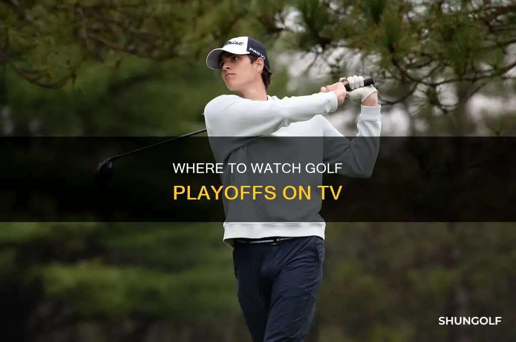 is golf playoff on tv