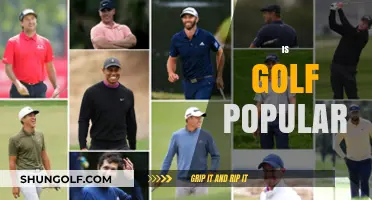 Golf's Popularity: Is It a Sport for the Masses?
