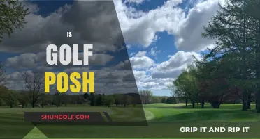 Golf: A Sport for the Privileged or Not?