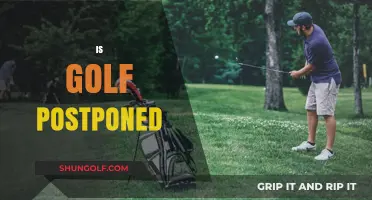 Golf Postponed: What's Next?