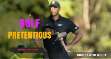 Golf: An Elitist Sport or a Misunderstood Pastime?
