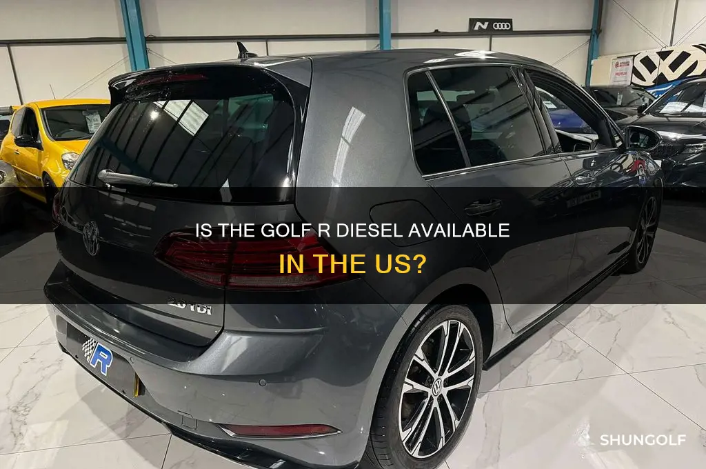 is golf r disel in th us