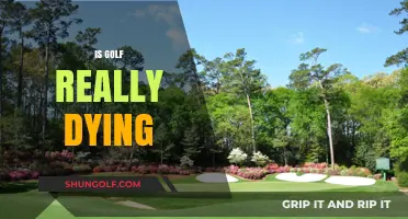 Golf's Future: Is the Sport Really Dying?