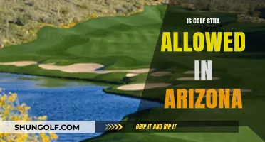 Golfing in Arizona: What's Allowed?