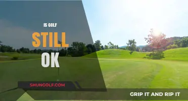 Golf's Future: Is It Still a Sport for Everyone?